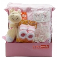 Baby Gift Basket Pink